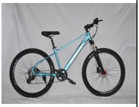 KAIAQ MTB-2 customize